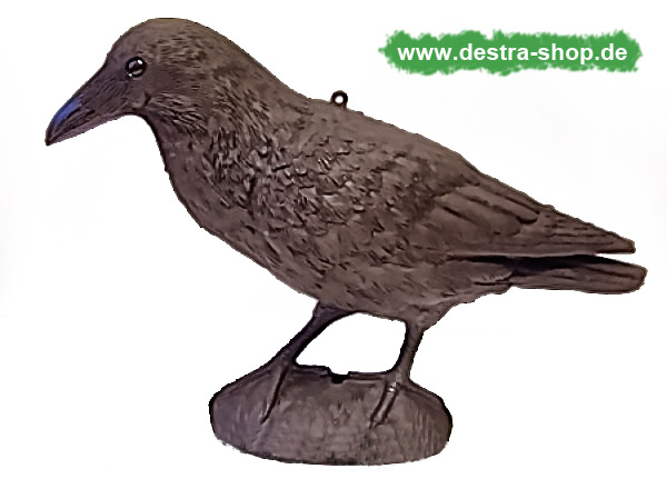 Kunststoffrabe zur Taubenvergrämung