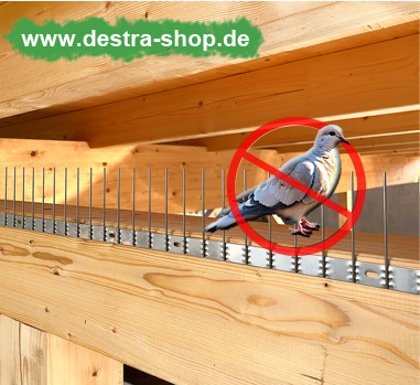Professionelle Vogelabwehr zum Schutz bei Bauwerken